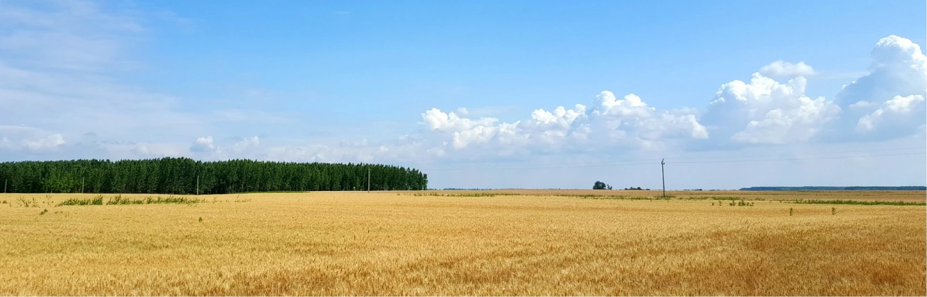 Descrizione punti di forza energie sostenibili